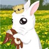 Play Bunny