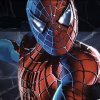 Play Spiderman 3 memory match